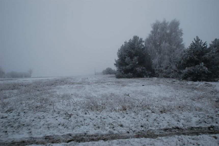 Działka 10082 m2 Bolmin gmina Chęciny miniaturka 5