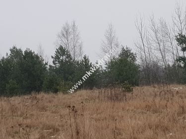 działki budowlane z planem zagospodarowania