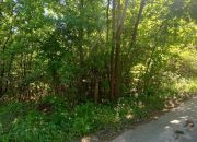 Działka 900 m2, tuż przy Zamku w Chęcinach miniaturka 19