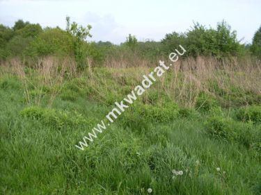 Leoncin, 933 000 zł, 3.11 ha, płaska