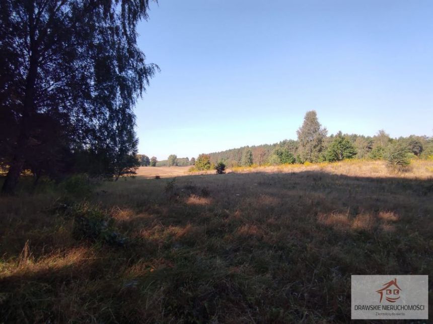 Siemczyno 275 000 zł 1.3 ha miniaturka 6