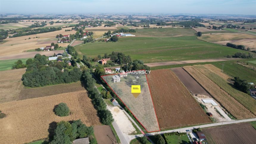 Sieradzice gmina Kazimierza Wielka 2 domy miniaturka 13