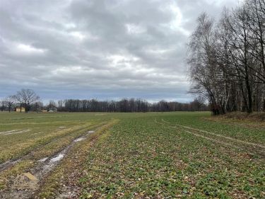 Szczere pole w Zabłociu - cisza i spokój