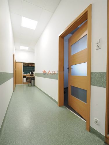 Wrocław Stare Miasto, 2 688 zł, 48 m2, parter