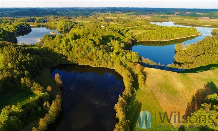 Udziejek, 650 000 zł, 5.06 ha, przyłącze prądu miniaturka 2