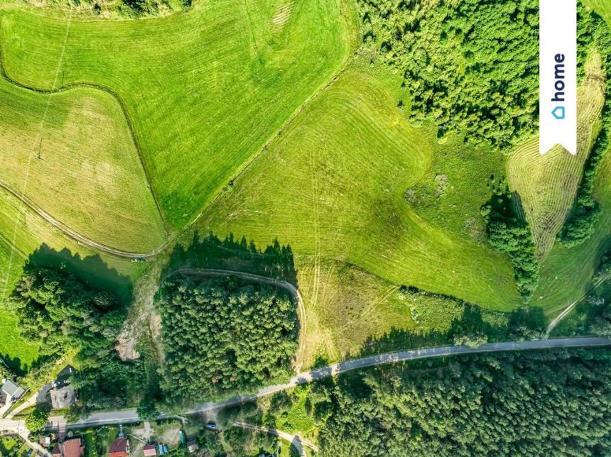 Piękne działki pod Kościerzyną 500m do jeziora miniaturka 3