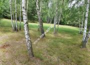 Działka Budy Grzybek 3000 m2 miniaturka 7