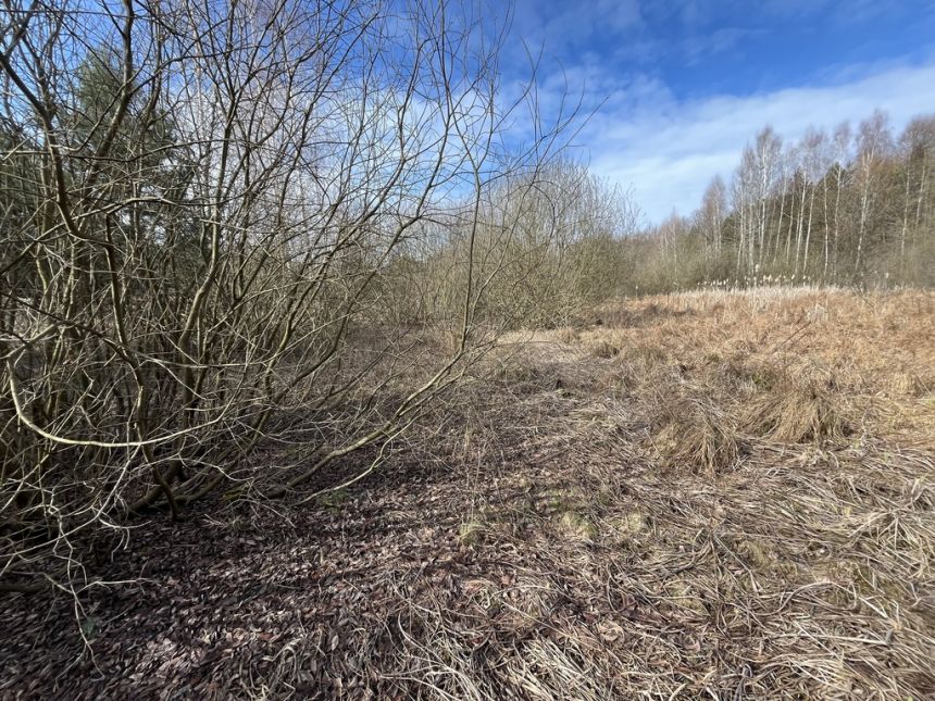 Działka o pow. 2,08 ha w m. Kawęczyn gm. Ciepielów miniaturka 9