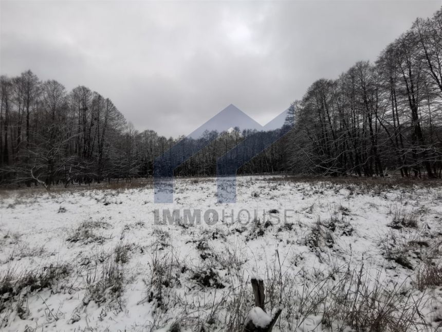 Rajska działka w lesie nad jeziorem miniaturka 9