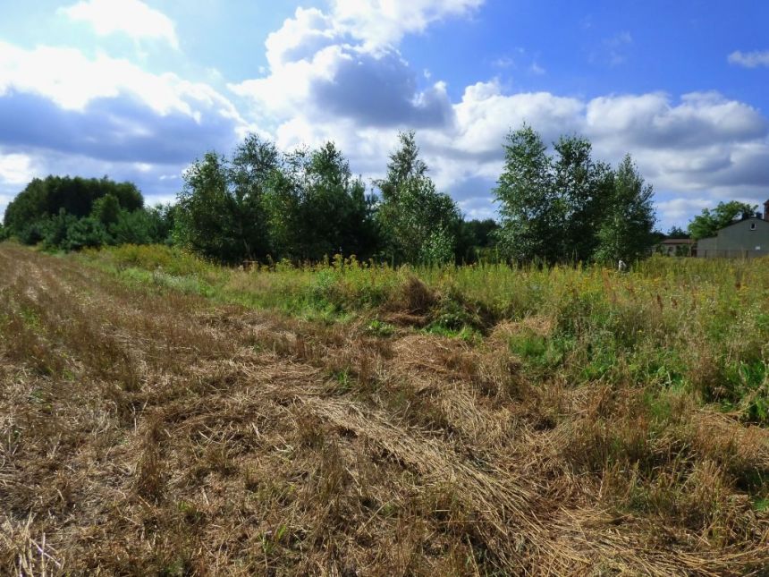 DZIAŁKA 5300 m2 BĘDZELIN GM. KOLUSZKI miniaturka 3