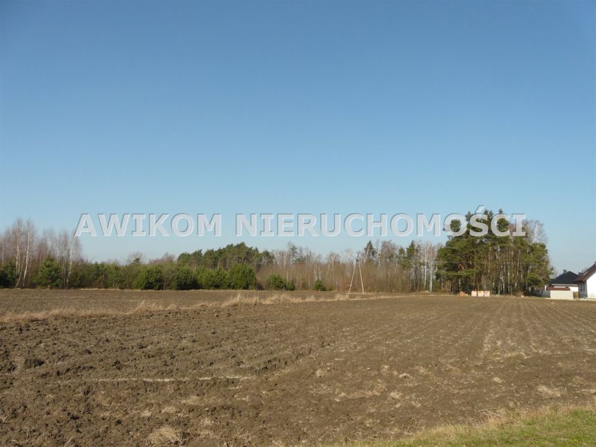Rzymiec, 270 000 zł, 40 ar, przyłącze elektryczne miniaturka 9