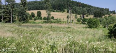 Wambierzyce Górne Wambierzyce, 720 000 zł, 2.02 ha, przyłącze prądu