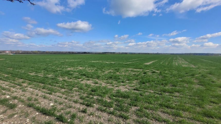 Sprzedaż 1,58 ha - budownictwo mieszkaniowe Opole miniaturka 3