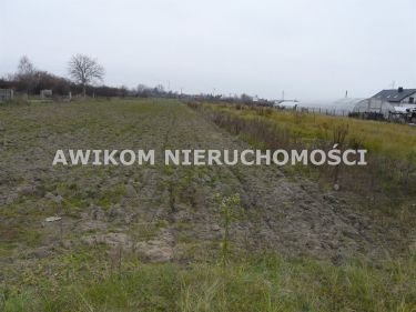 Skierniewice, 222 700 zł, 13.1 ar, droga dojazdowa asfaltowa