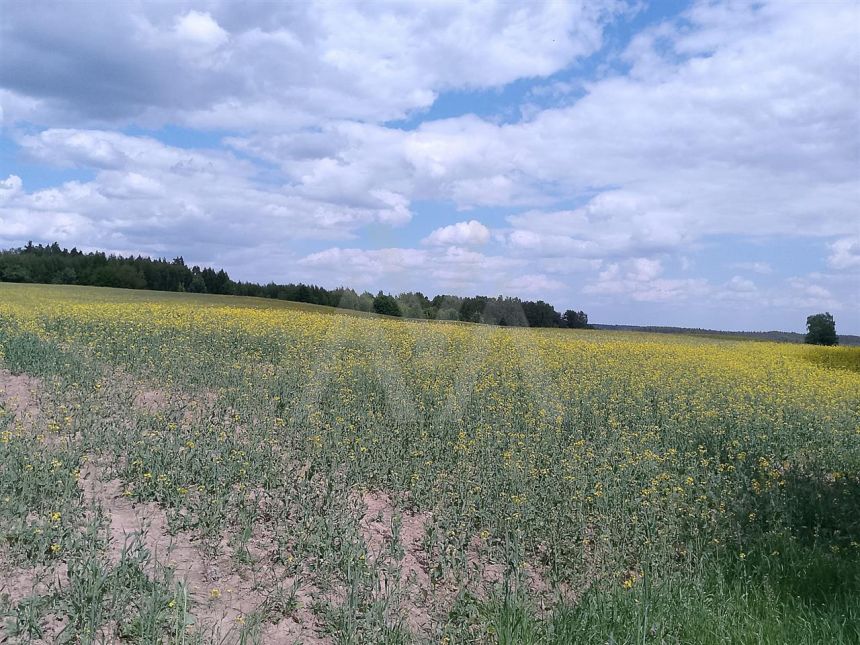 Działka budowlana - Graniczna Wieś miniaturka 4