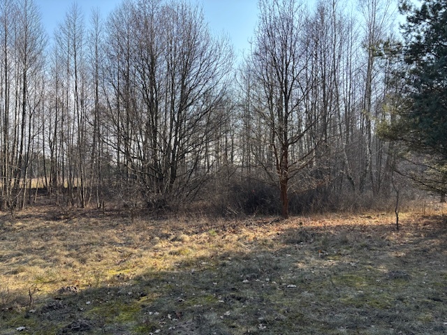 Działka budowlana niedaleko Bugu - Arciechów miniaturka 2