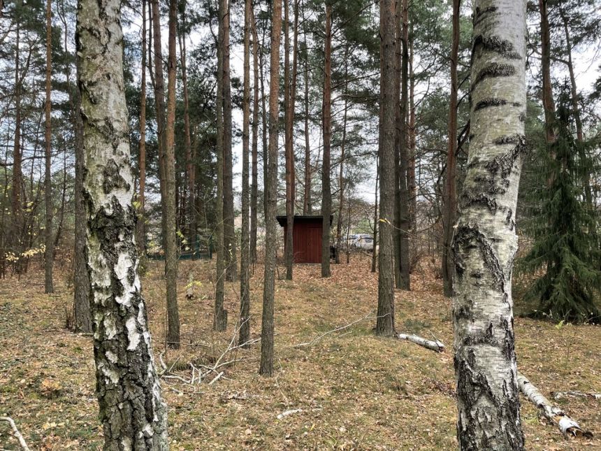 Działka letniskowa z domkiem w lesie 4 km Radzymin miniaturka 9