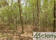 Sękocin-Las, 1 275 000 zł, 23.15 ar, droga dojazdowa utwardzona miniaturka 2