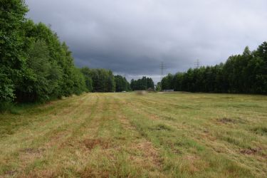 Działka budowlana 39a w Budach Głogowskich