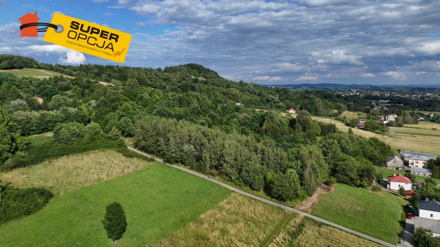 Odrzykoń 215 000 zł 37.56 ar miniaturka 7
