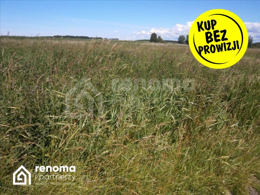 Kleszcze, 339 800 zł, 33.98 ar, droga dojazdowa utwardzona miniaturka 4