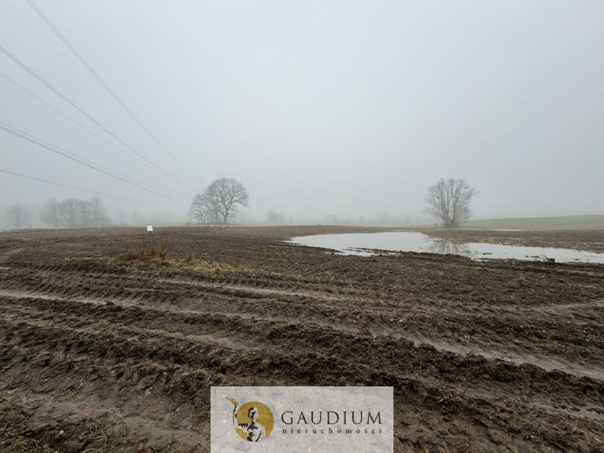 DZIAŁKI KASZUBY 1000 m2 GMINA SZEMUD! miniaturka 4