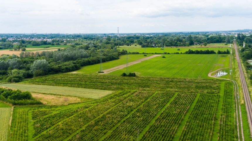 Działka inwestycyjna - wysoki  i szybki zysk miniaturka 5