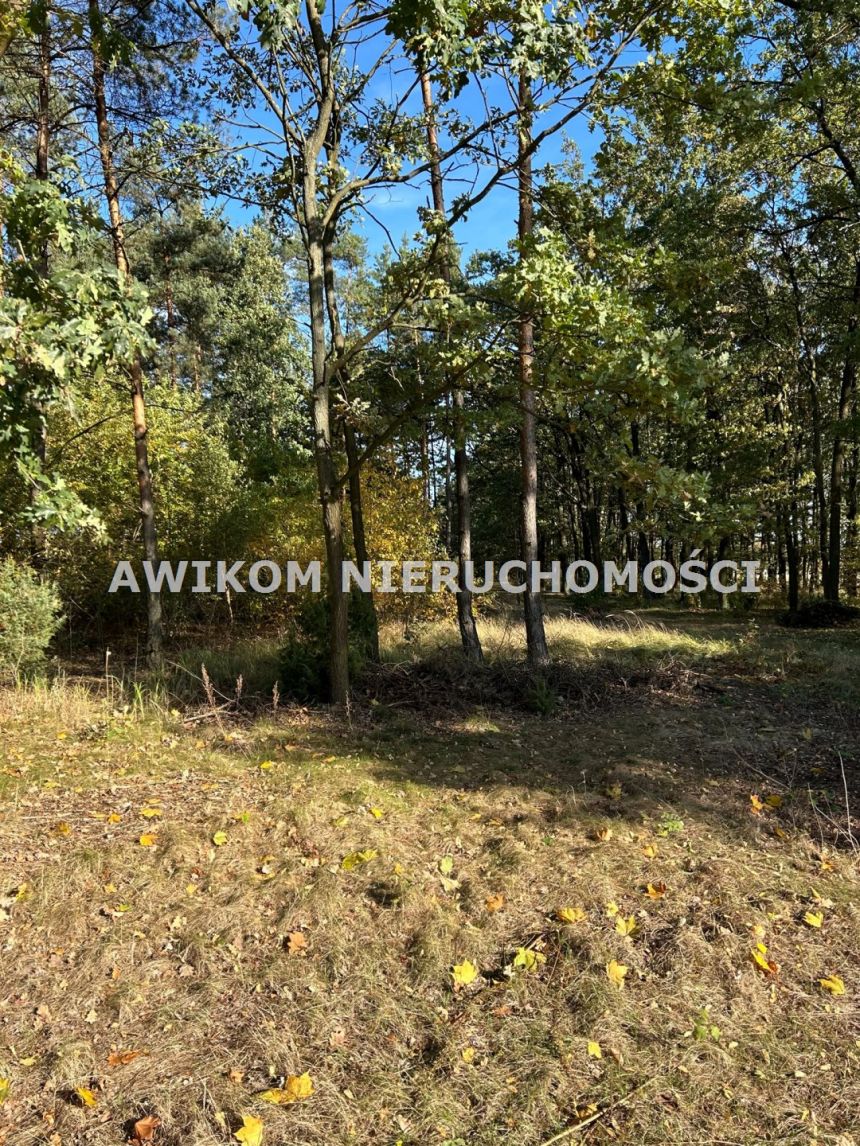 Wilczkowo, 225 450 zł, 30.06 ar, budowlana miniaturka 7
