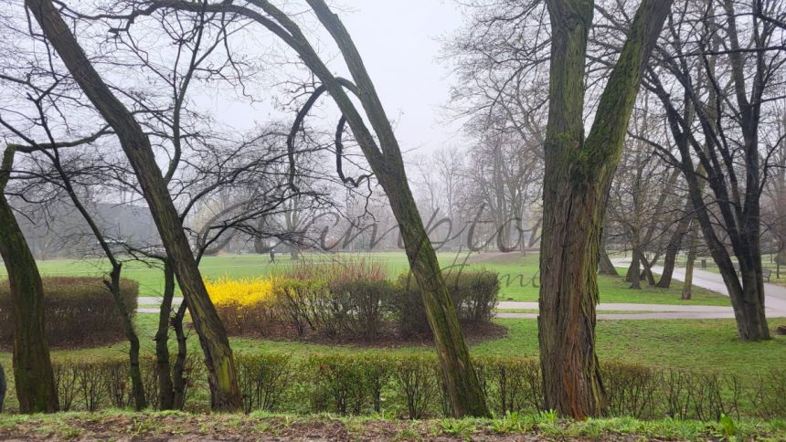 Grodzisk Mazowiecki, 7 490 zł, 107.3 m2, pietro 1, 1 miniaturka 17