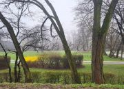 Grodzisk Mazowiecki, 6 990 zł, 107.3 m2, pietro 1, 1 miniaturka 17