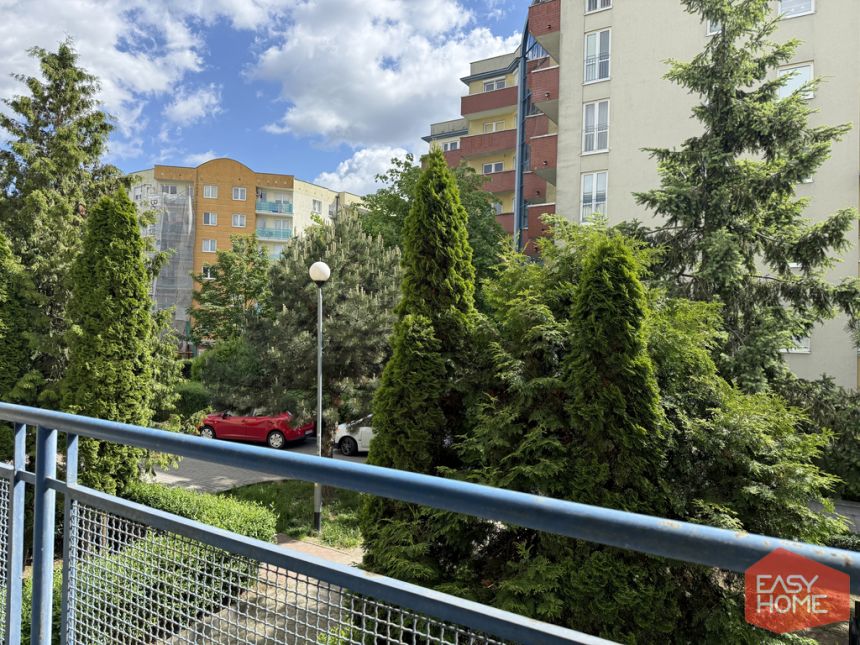 Komfortowe, po remoncie i blisko PST miniaturka 12