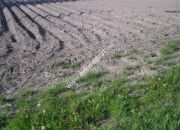 Działka 6450 m2 z domem i halą. miniaturka 10