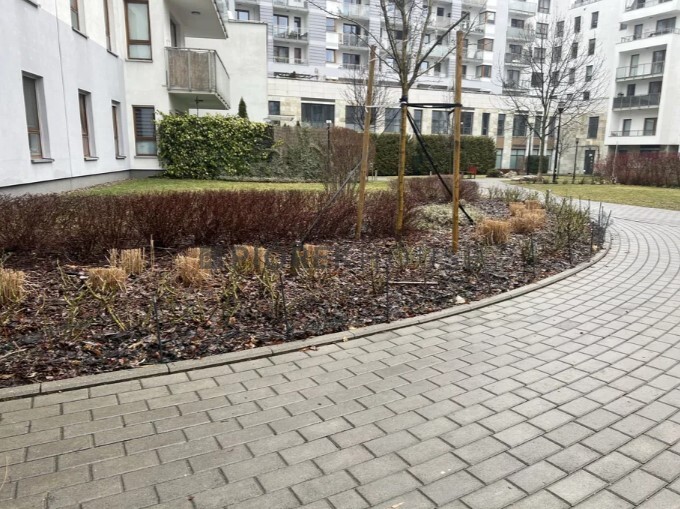 3-pokojowe mieszkanie na Żoliborzu miniaturka 7