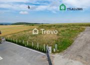 Lisewiec, 371 070 zł, 13.02 ar, przyłącze prądu miniaturka 9