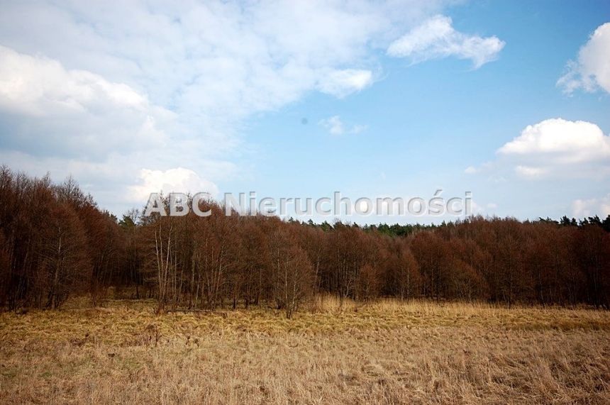 Golce, 610 000 zł, 99.69 ar, rolna z prawem zabudowy miniaturka 6