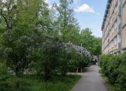 3-pokojowe mieszkanie na Żoliborzu miniaturka 2