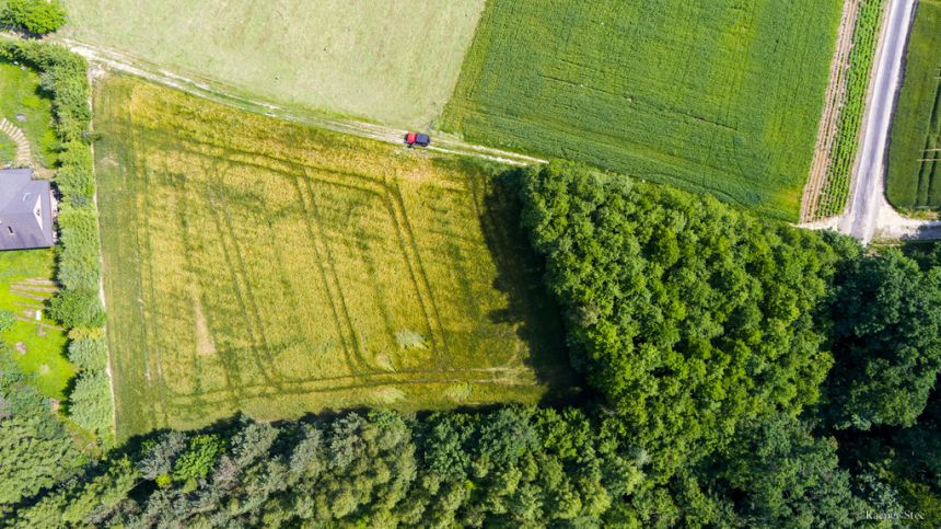 Na sprzedaż: działka 79 arów- Domosławice miniaturka 5