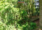 Na sprzedaż dom na dużej działce w Ryczywole miniaturka 27