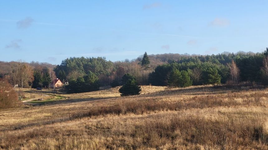 DZIAŁKA pod OSIEDLE DOMÓW JEDNORODZINNYCH miniaturka 4