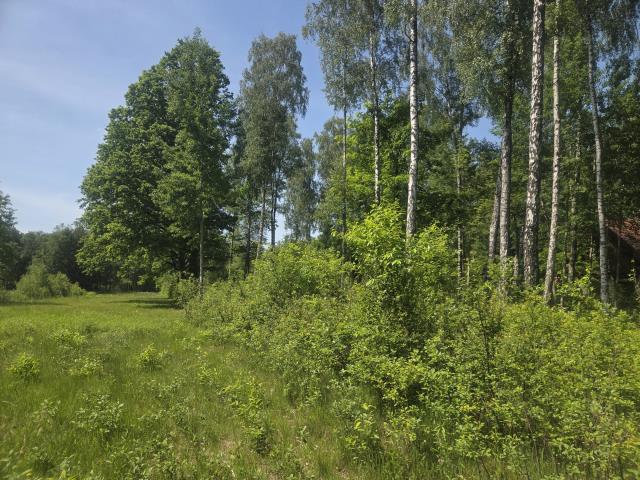 za Sarnią, 3 do wyboru, warunki zabudowy miniaturka 10