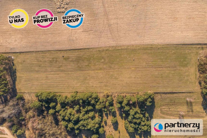 Zwierzewo, 1 499 000 zł, 1.29 ha, droga dojazdowa gruntowa miniaturka 4