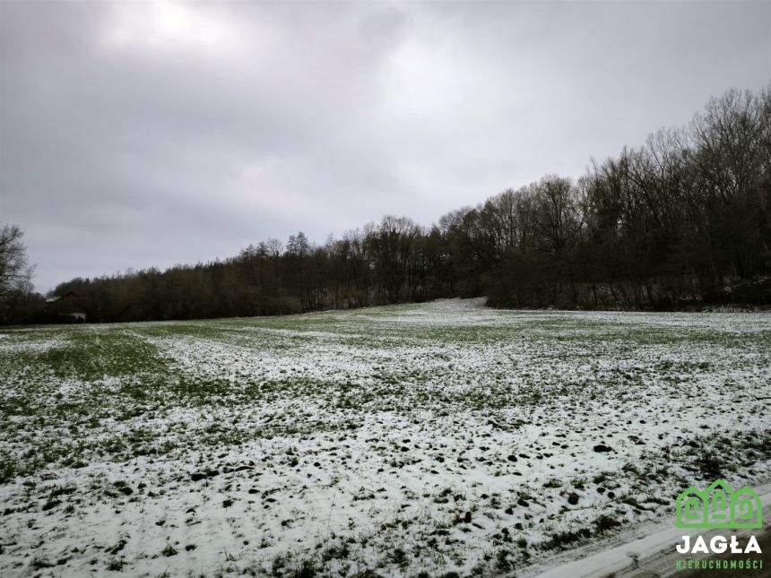 Piękna działka Gruczno 7800m2 miniaturka 4
