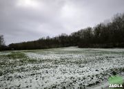 Piękna działka Gruczno 7800m2 miniaturka 4
