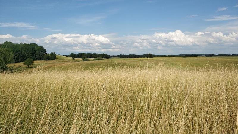 Działka na Mazurach w miejscowości Rydzewo miniaturka 5