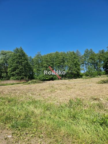 Wałdowo Królewskie 325 000 zł 31.44 ar