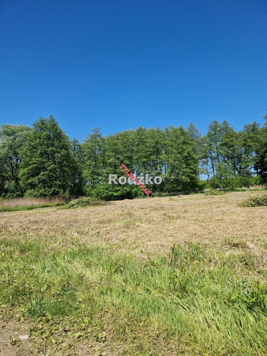 Wałdowo Królewskie 325 000 zł 31.44 ar - zdjęcie 1