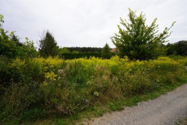 DZIAŁKA LETNISKOWA, BUDOWLANA MŚCISZEWO