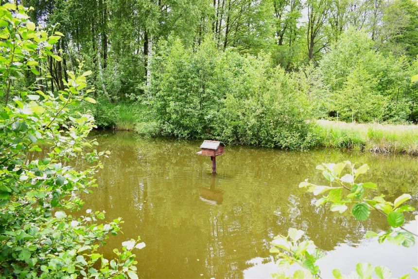 Tani dom ze stawami i lasem Rększowice miniaturka 10