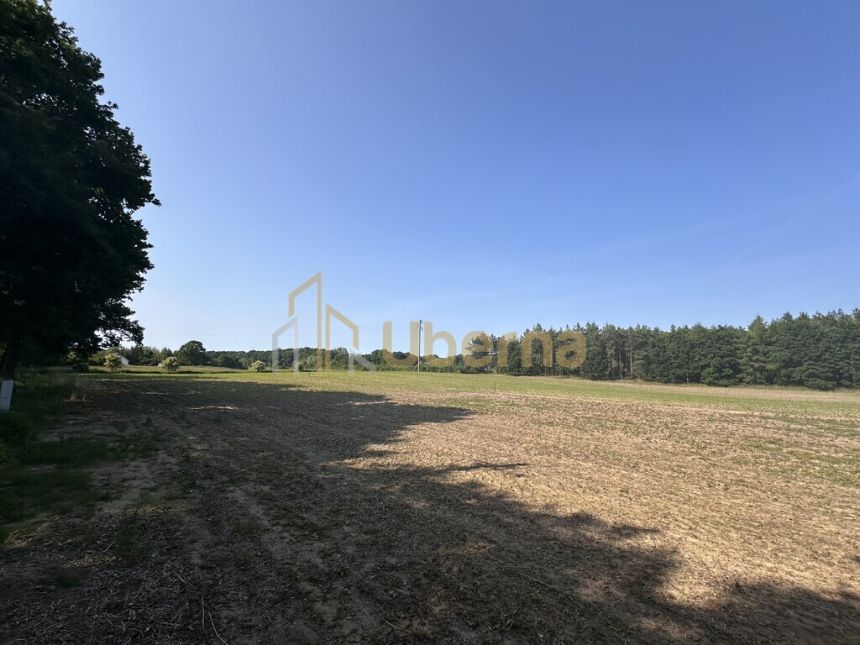 Działka w Radzanku–Gm.Maszewo war.zabud. miniaturka 10
