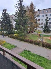 Międzyborska